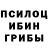 Псилоцибиновые грибы GOLDEN TEACHER withoutskill