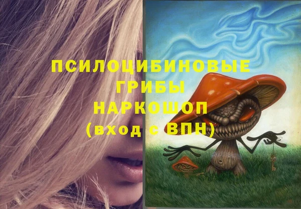 индика Алзамай