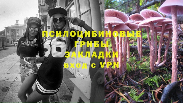 прущая мука Арсеньев